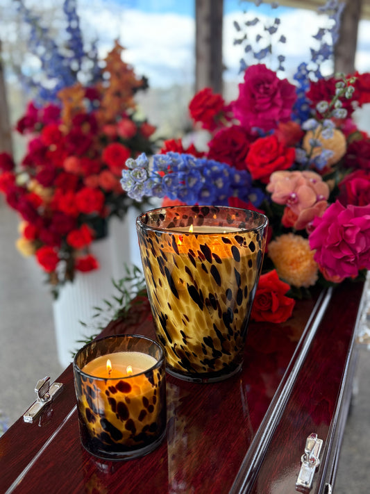 Bright Candle Bundle