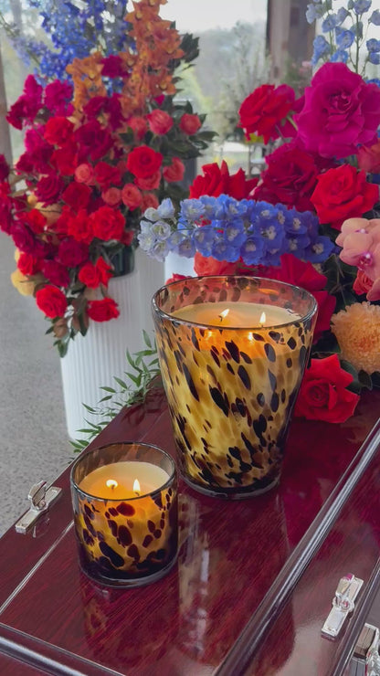 Bright Candle Bundle